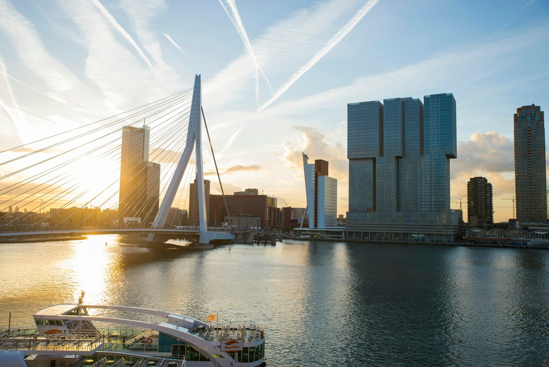 Rotterdam Erasmus Bridge and skyline