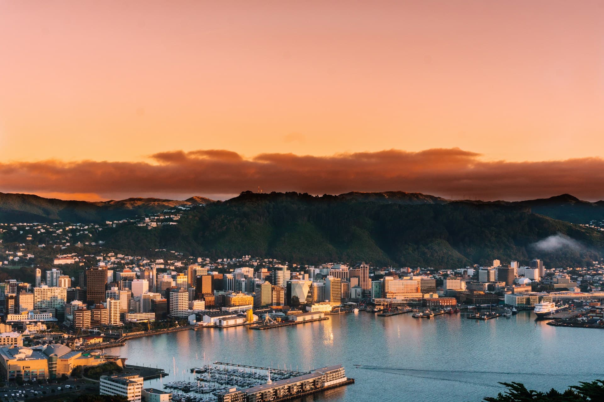 Wellington city at sunset